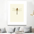 Dragonfly I by Incado on GIANT ART - multicolor animals; floral/still life