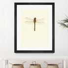Dragonfly I by Incado on GIANT ART - multicolor animals; floral/still life