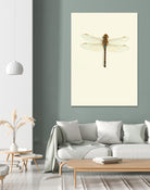 Dragonfly I by Incado on GIANT ART - multicolor animals; floral/still life