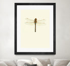 Dragonfly I by Incado on GIANT ART - multicolor animals; floral/still life