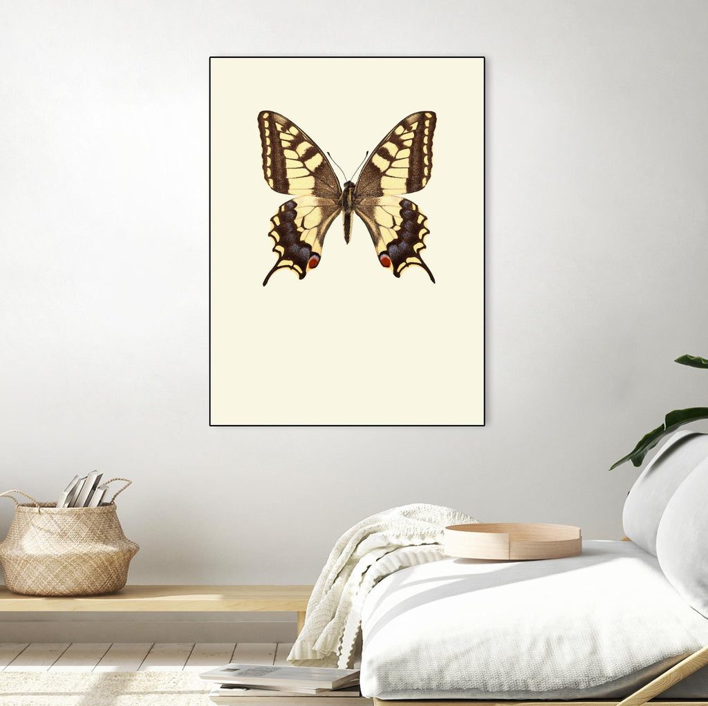 Papilio machaon by Incado on GIANT ART - multicolor animals; floral/still life
