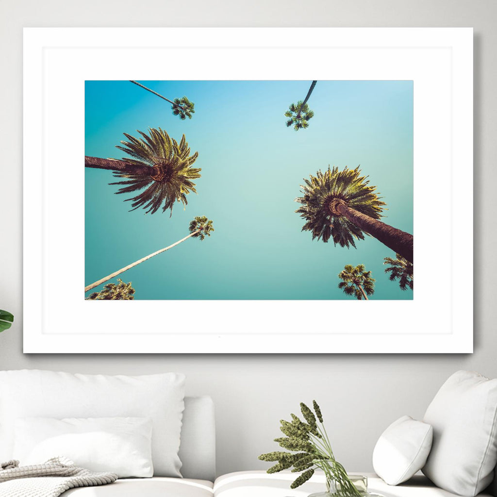 Palms by PhotoINC Studio on GIANT ART - multicolor photography; landscapes