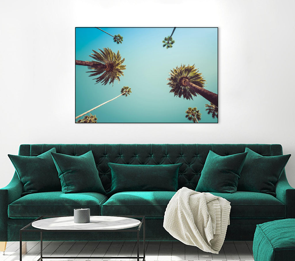 Palms by PhotoINC Studio on GIANT ART - multicolor photography; landscapes