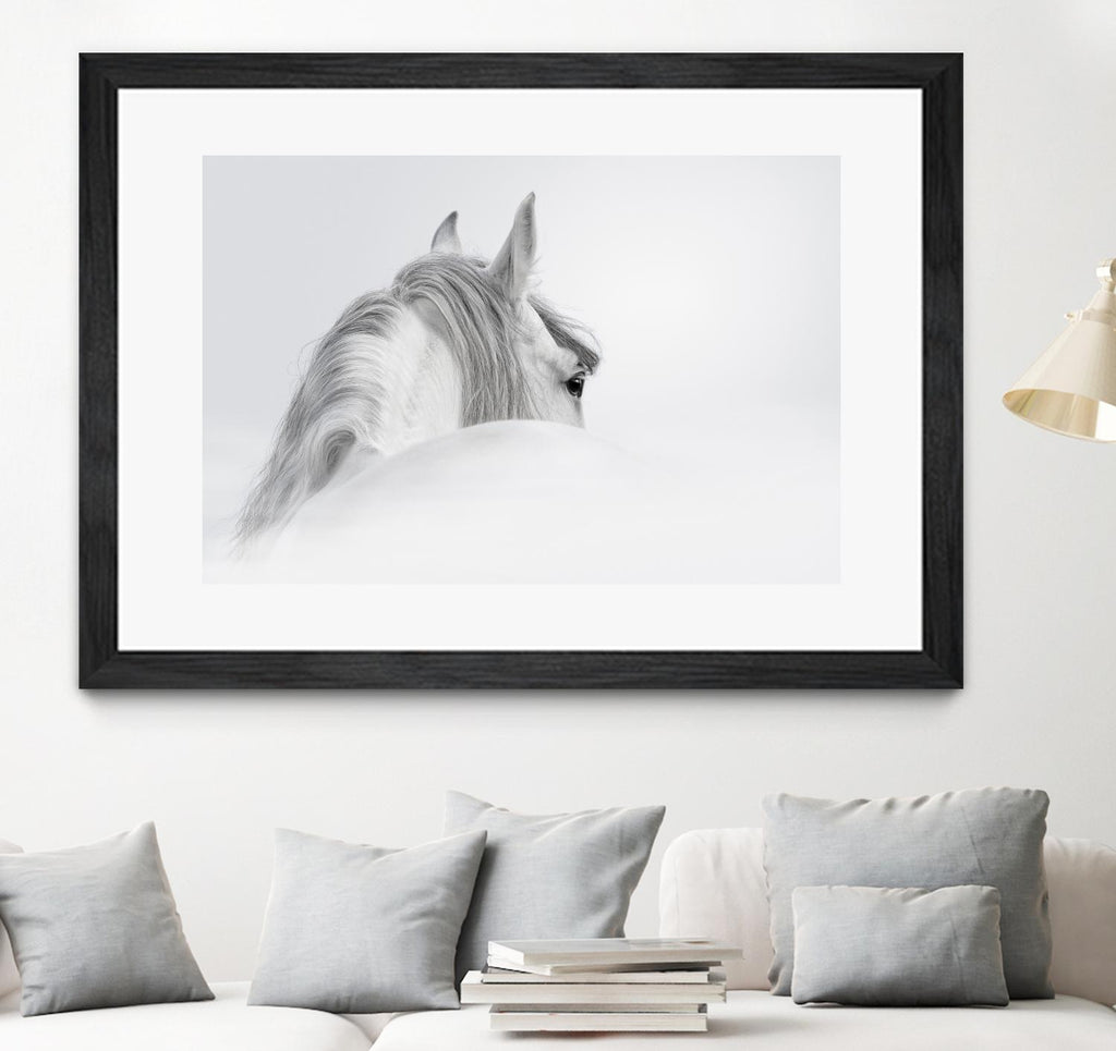 Cheval blanc par PhotoINC Studio sur GIANT ART - animaux multicolores