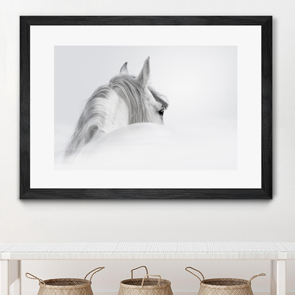 White Horse by PhotoINC Studio on GIANT ART - multicolor animals