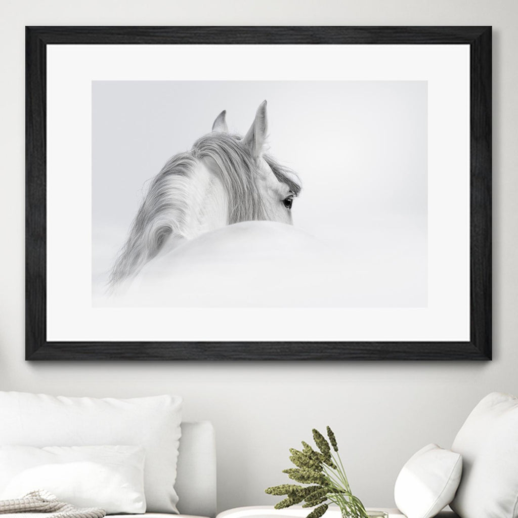 White Horse by PhotoINC Studio on GIANT ART - multicolor animals