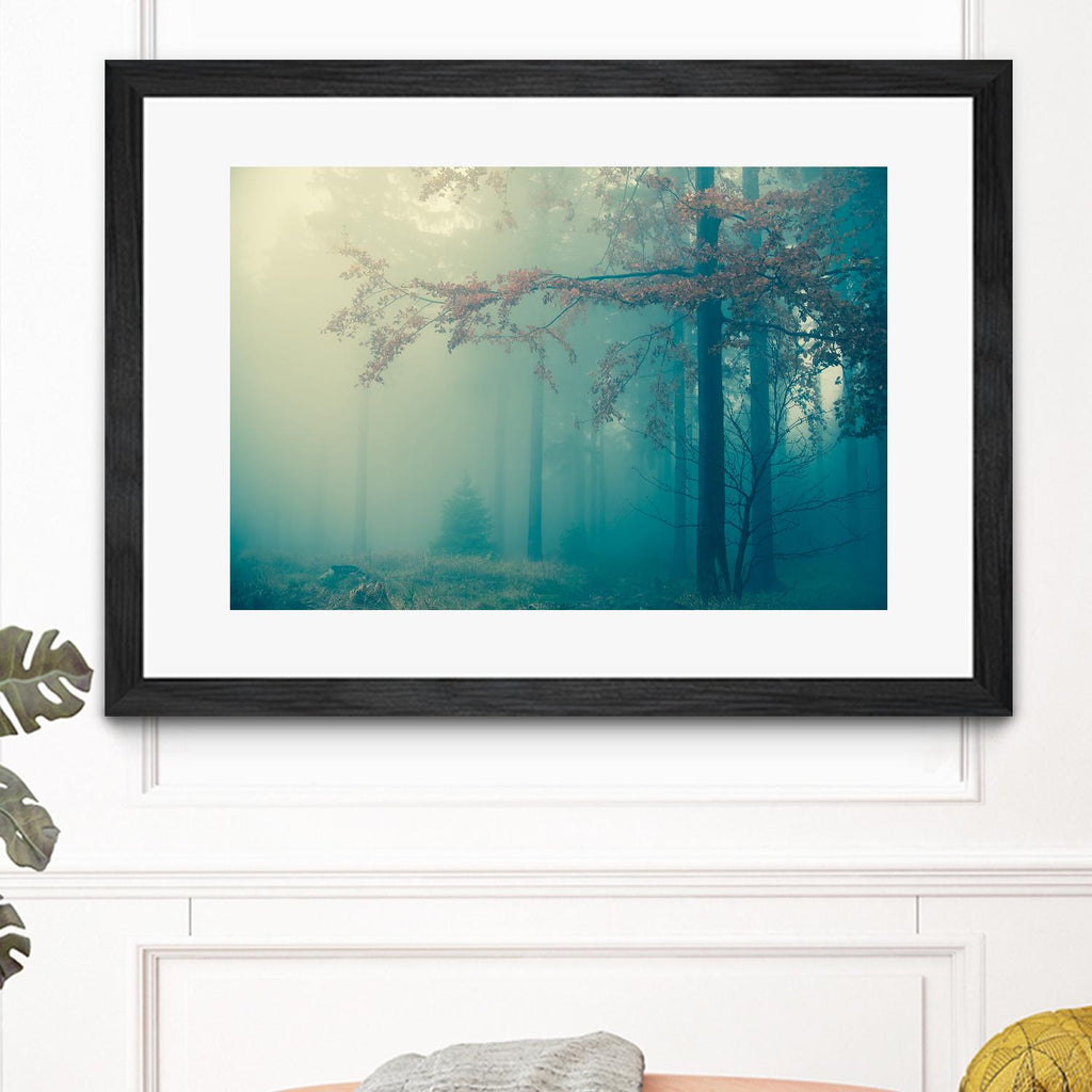 Woods by PhotoINC Studio on GIANT ART - multicolor photography; landscapes