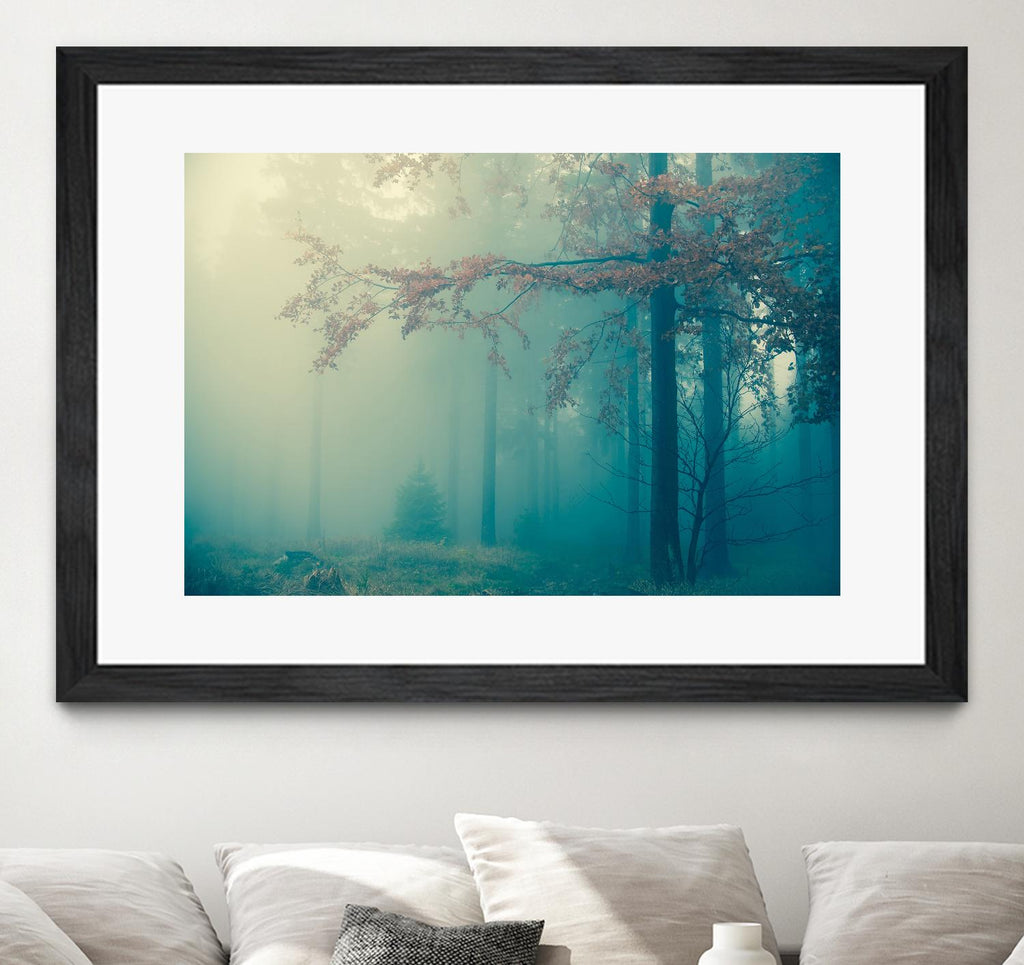 Woods by PhotoINC Studio on GIANT ART - multicolor photography; landscapes