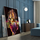 Iris by PhotoINC Studio on GIANT ART - multicolor photography; floral/still life