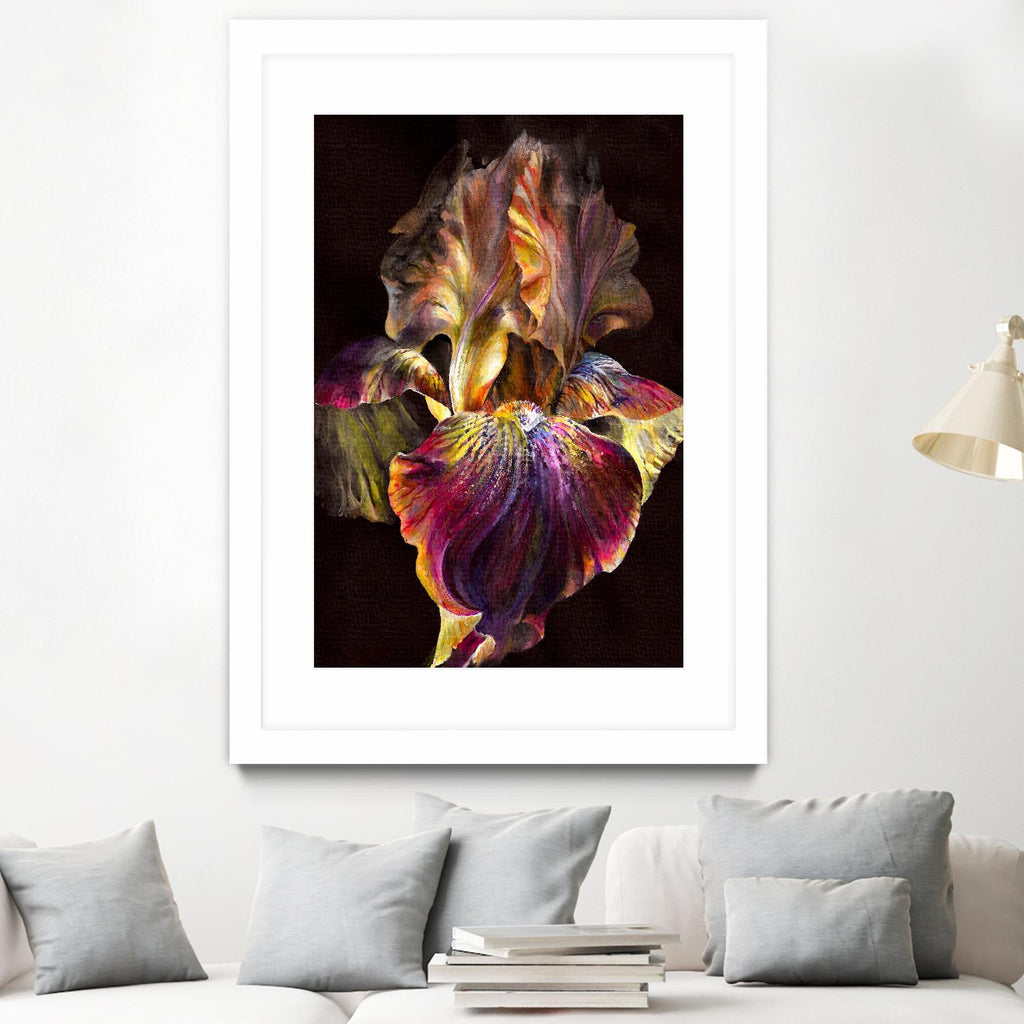 Iris by PhotoINC Studio on GIANT ART - multicolor photography; floral/still life