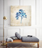 Sea life I by Incado on GIANT ART - multicolor floral/still life; contemporary