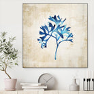 Sea life I by Incado on GIANT ART - multicolor floral/still life; contemporary