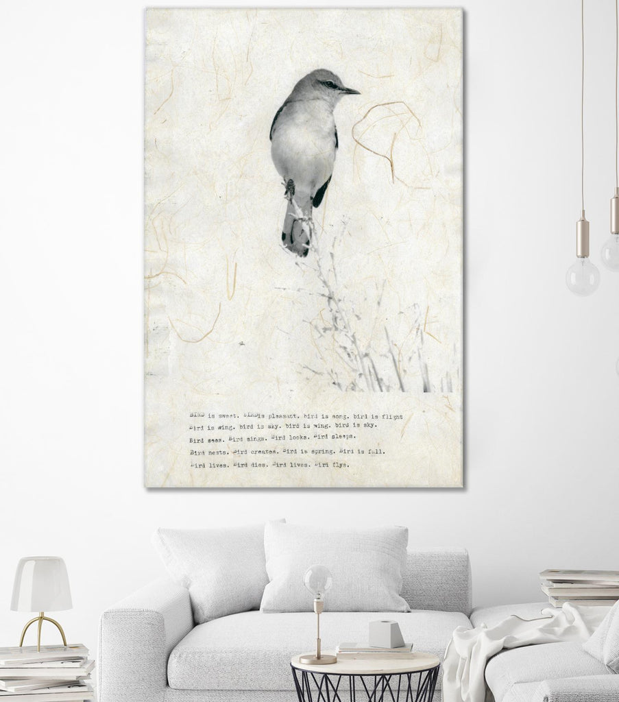 Bird is sweet by TypeLike sur GIANT ART - animaux multicolores