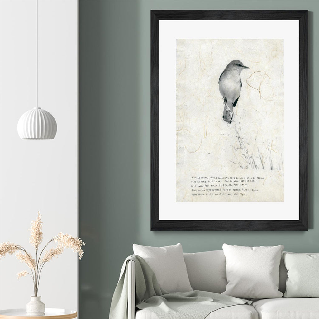 Bird is sweet by TypeLike sur GIANT ART - animaux multicolores