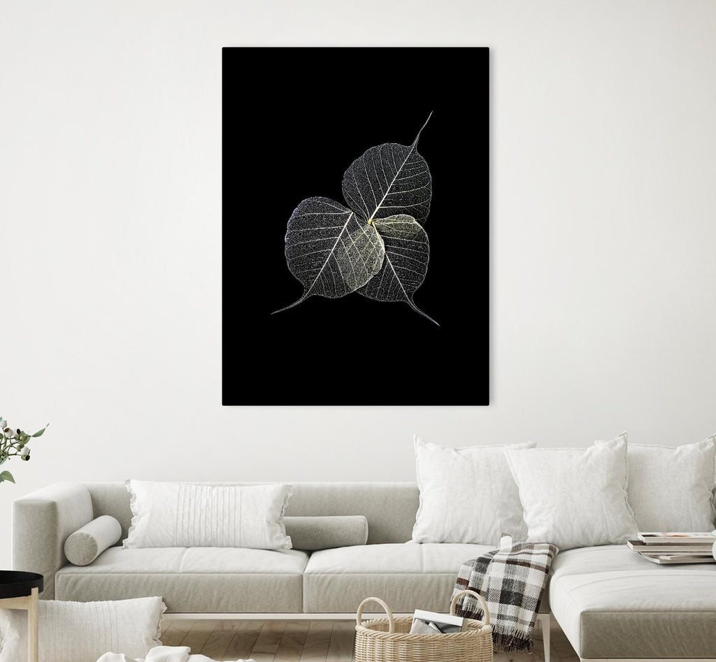 Dark Leaves by Incado on GIANT ART - multicolor photography; floral/still life
