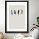 Feather 11 by Incado on GIANT ART - multicolor floral/still life