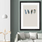 Feather 11 by Incado on GIANT ART - multicolor floral/still life