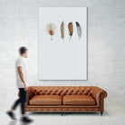 Feather 12 by Incado on GIANT ART - multicolor floral/still life
