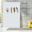 Feather 12 by Incado on GIANT ART - multicolor floral/still life