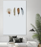 Feather 12 by Incado on GIANT ART - multicolor floral/still life