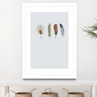 Feather 12 by Incado on GIANT ART - multicolor floral/still life