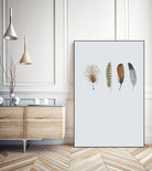 Feather 12 by Incado on GIANT ART - multicolor floral/still life