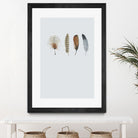 Feather 12 by Incado on GIANT ART - multicolor floral/still life