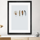 Feather 12 by Incado on GIANT ART - multicolor floral/still life