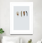 Feather 12 by Incado on GIANT ART - multicolor floral/still life