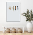 Feather 12 by Incado on GIANT ART - multicolor floral/still life