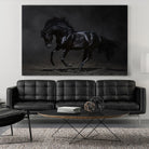 Onyx by PhotoINC Studio on GIANT ART - multicolor photography; animals