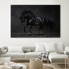 Onyx by PhotoINC Studio on GIANT ART - multicolor photography; animals