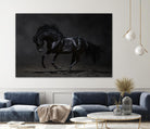 Onyx by PhotoINC Studio on GIANT ART - multicolor photography; animals