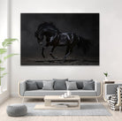 Onyx by PhotoINC Studio on GIANT ART - multicolor photography; animals