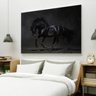 Onyx by PhotoINC Studio on GIANT ART - multicolor photography; animals