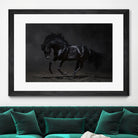 Onyx by PhotoINC Studio on GIANT ART - multicolor photography; animals