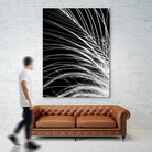 White Feather by Incado on GIANT ART - multicolor photography; floral/still life
