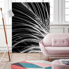 White Feather by Incado on GIANT ART - multicolor photography; floral/still life
