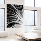White Feather by Incado on GIANT ART - multicolor photography; floral/still life