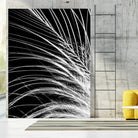 White Feather by Incado on GIANT ART - multicolor photography; floral/still life