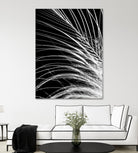 White Feather by Incado on GIANT ART - multicolor photography; floral/still life