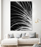 White Feather by Incado on GIANT ART - multicolor photography; floral/still life