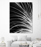 White Feather by Incado on GIANT ART - multicolor photography; floral/still life
