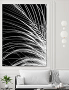 White Feather by Incado on GIANT ART - multicolor photography; floral/still life