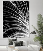 White Feather by Incado on GIANT ART - multicolor photography; floral/still life