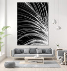 White Feather by Incado on GIANT ART - multicolor photography; floral/still life