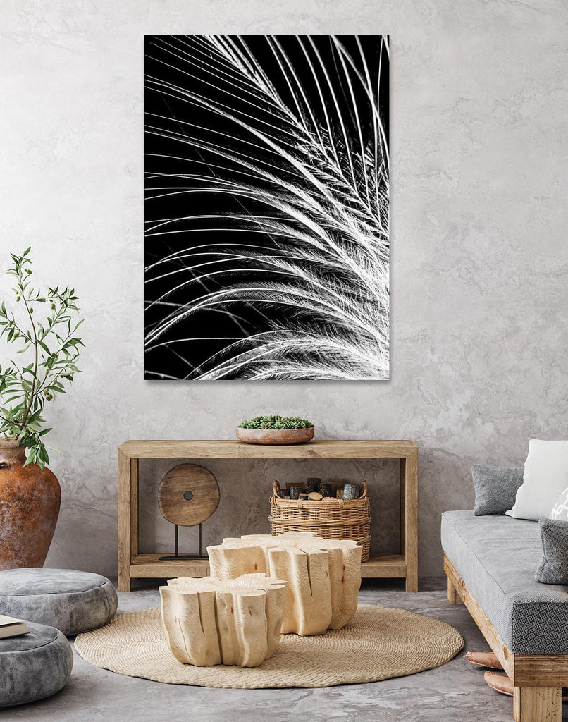 White Feather by Incado on GIANT ART - multicolor photography; floral/still life