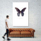 Enjoy Life by TypeLike on GIANT ART - multicolor animals