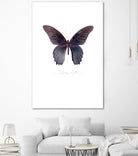 Enjoy Life by TypeLike on GIANT ART - multicolor animals