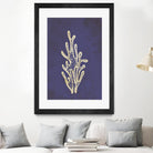 Coral by Incado on GIANT ART - multicolor floral/still life; contemporary